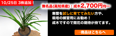 �����鿴�������ڳ�