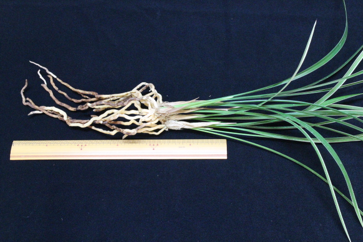 ���פο��㣵