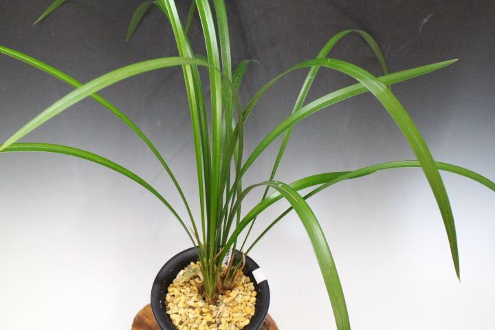 �������������