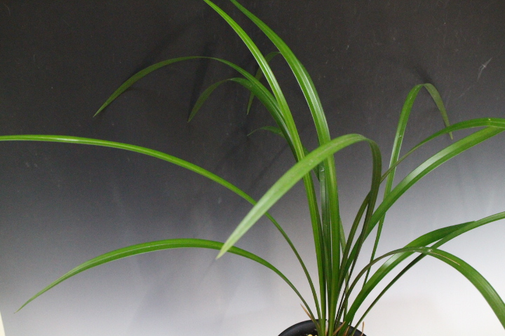 �������������