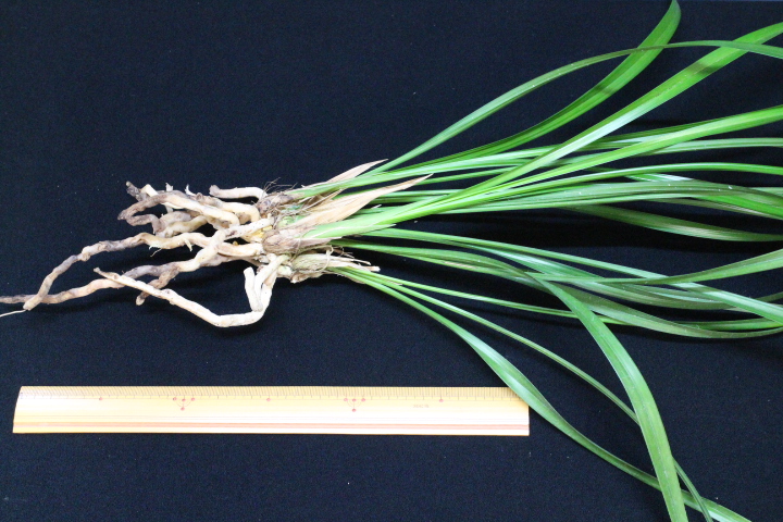 �������������