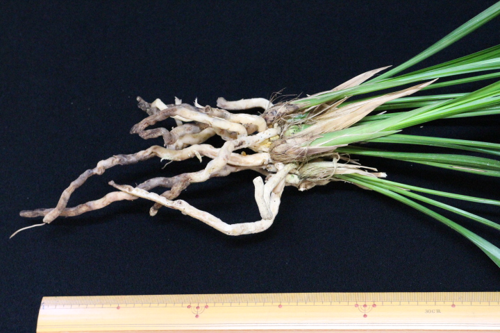 �������������